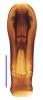 Atholus praetermissus